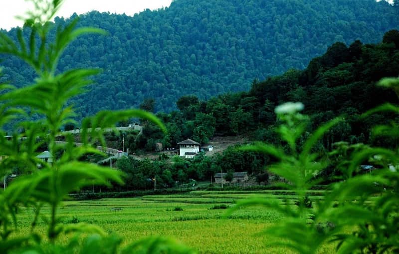 رزرو تور رشت از تهران